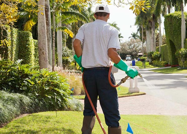 About Carthage MO Pest Control